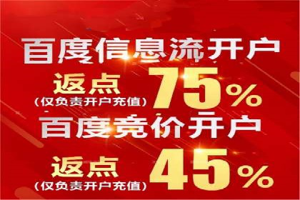 百度竞价推广与SEO结合的策略——以某科技公司为例